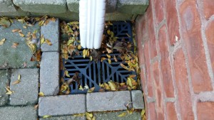 10 Tips for preventing Blocked Stormwater Drains